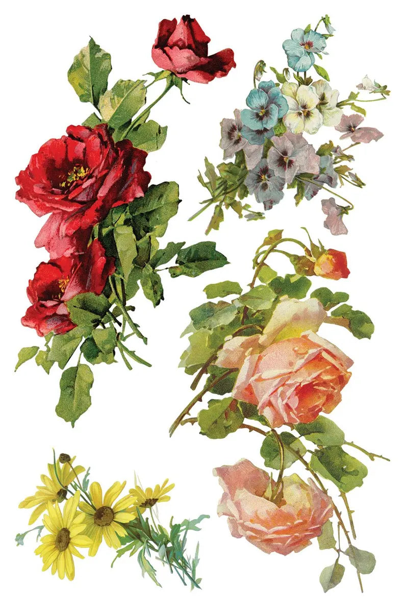 IOD Transfer Catharina 8x12 sheet