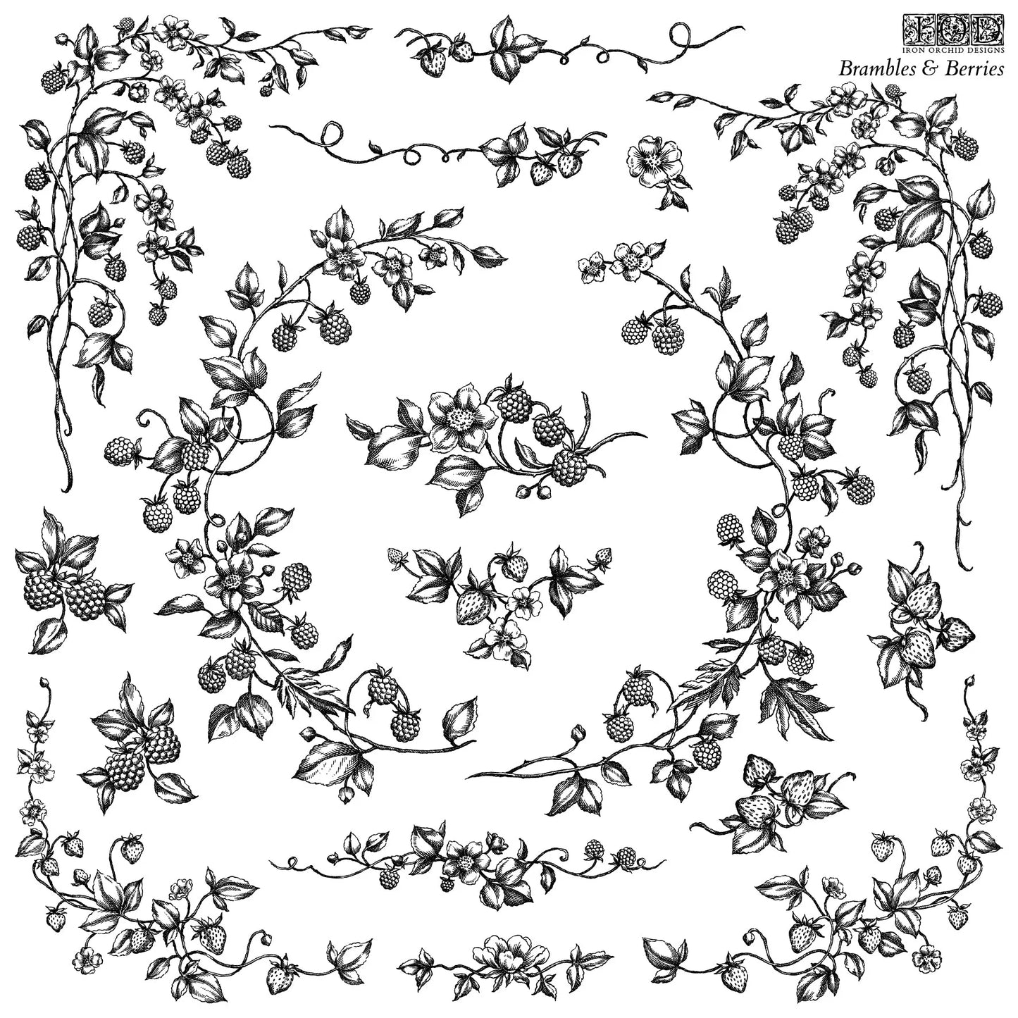 Brambles & Berries 12x12 IOD Stam