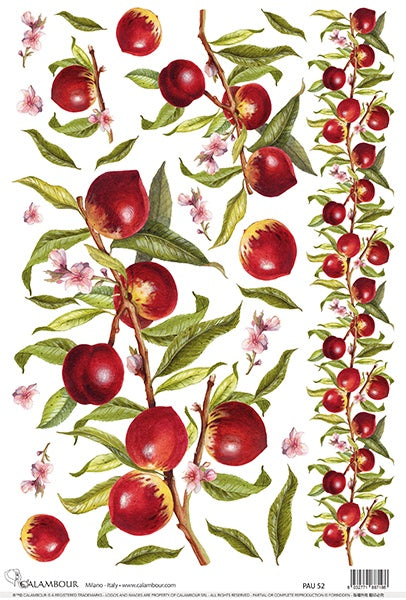 Decoupage rice paper