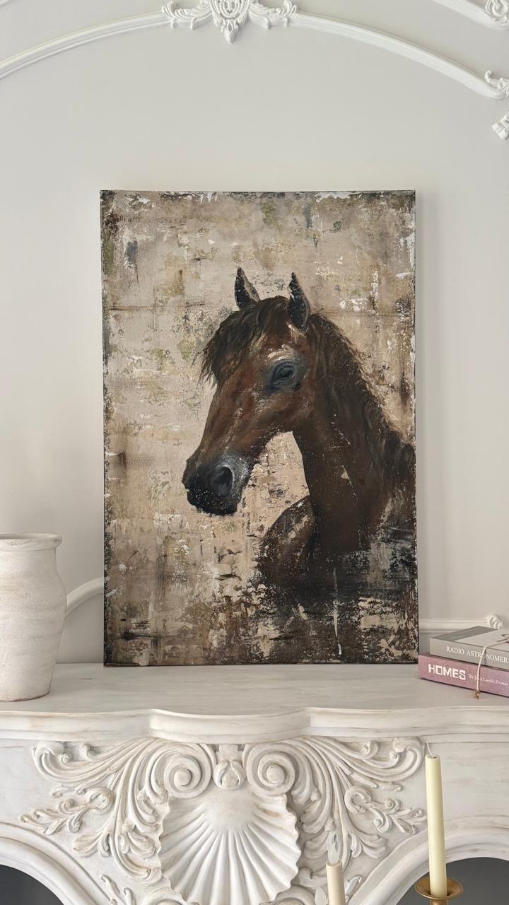 Arabian Horse
