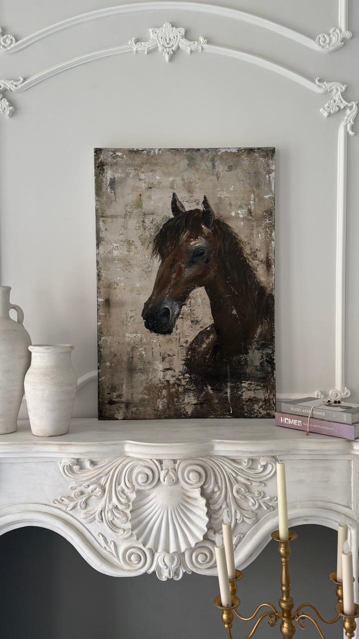 Arabian Horse