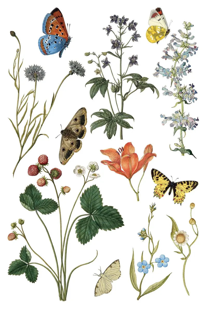 IOD Transfer Wild Bloemen 8x12 sheet