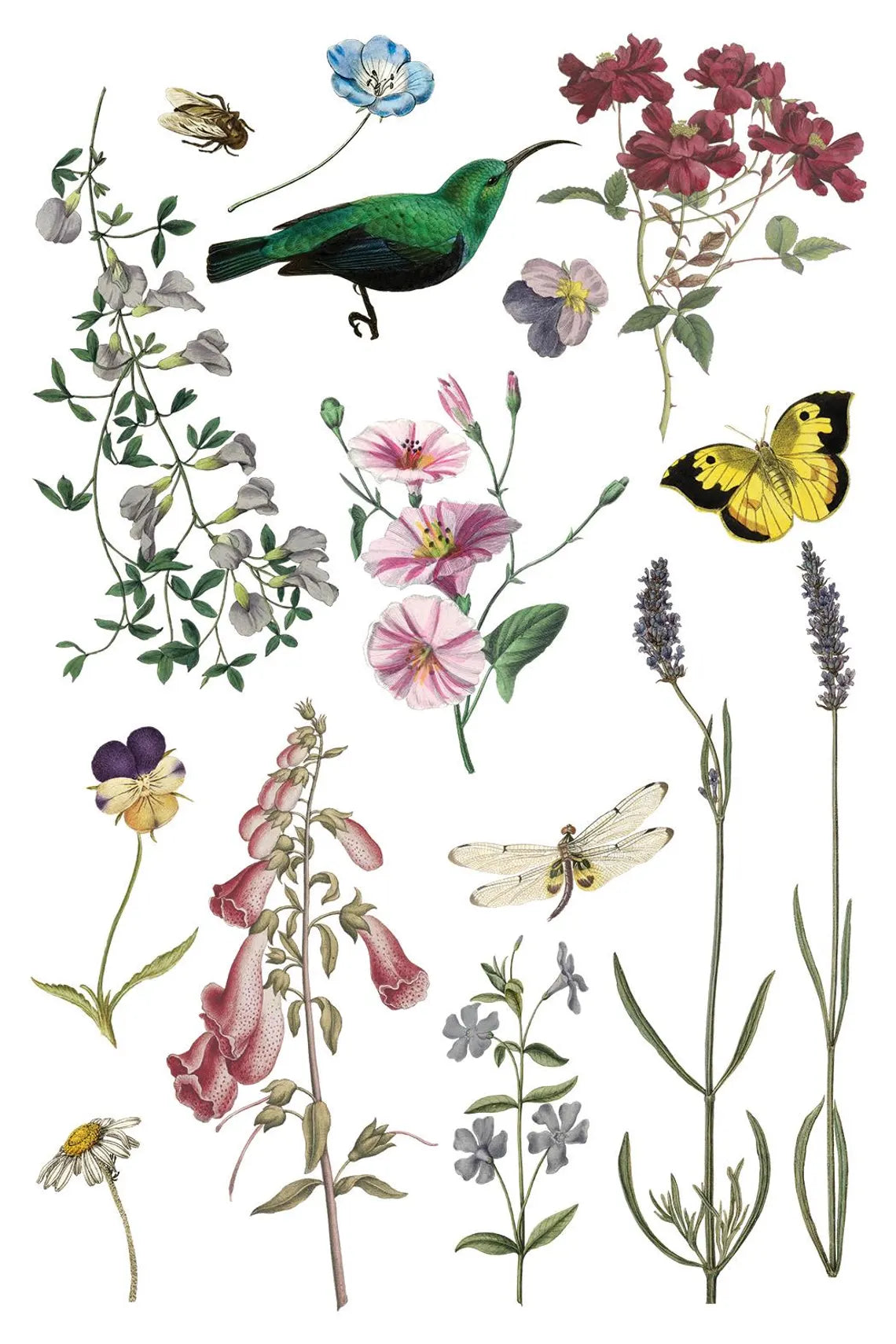 IOD Transfer Wild Bloemen 8x12 sheet