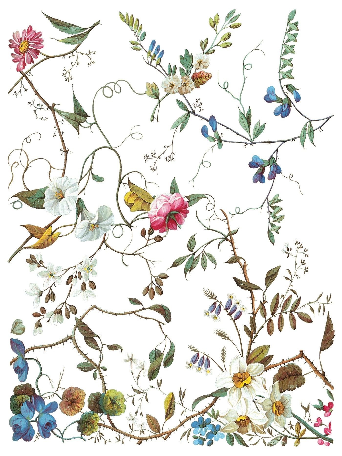 IOD Transfer Lost Garden 12x16 sheet)